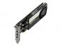 Preview: PNY NVIDIA T1000 - Low-Profile - 8GB