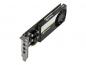 Preview: PNY NVIDIA T600 - Low-Profile - 4GB